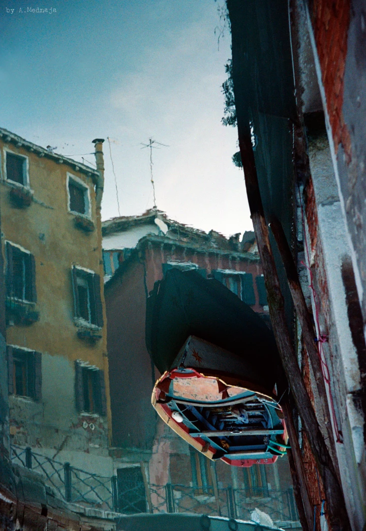 Venice, 2011
